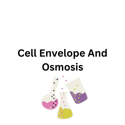 Cell Envelope And Osmosis